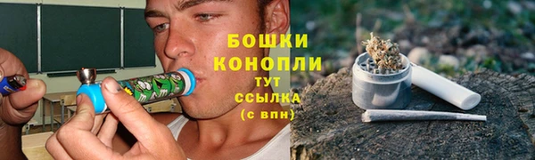 мдпв Дмитриев