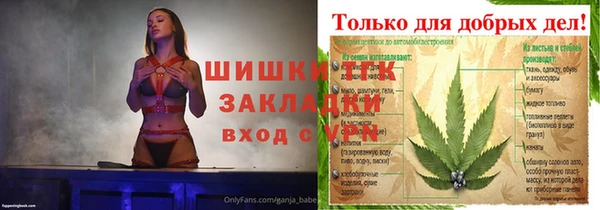 шишки Дмитров
