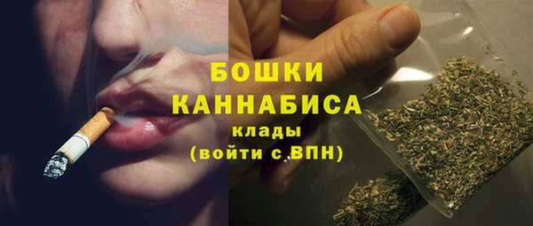 шишки Дмитров