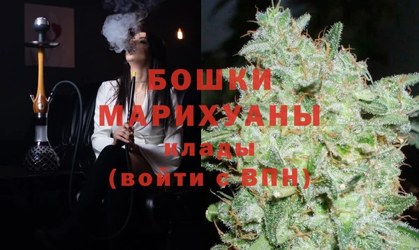 мдпв Дмитриев