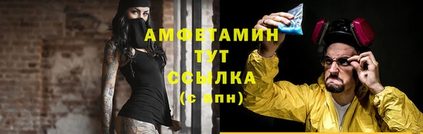 мдпв Дмитриев