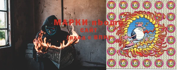 шишки Дмитров
