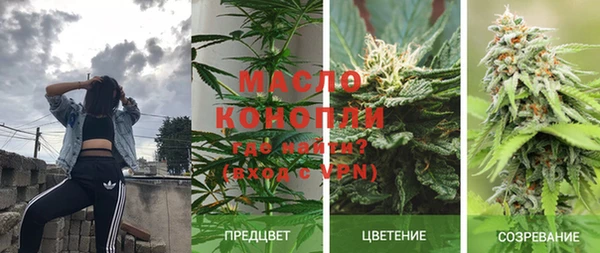 мдпв Дмитриев
