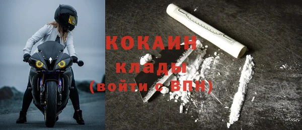 мдпв Дмитриев