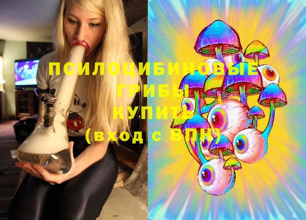 мдпв Дмитриев