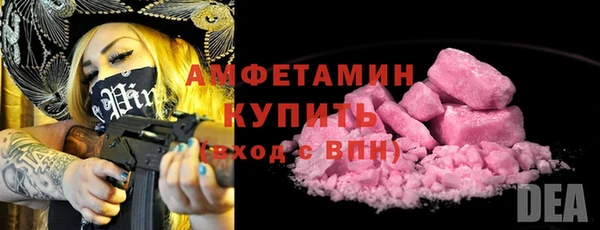 мдпв Дмитриев